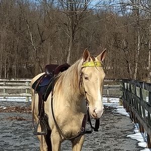 Meet your Posher, Sue